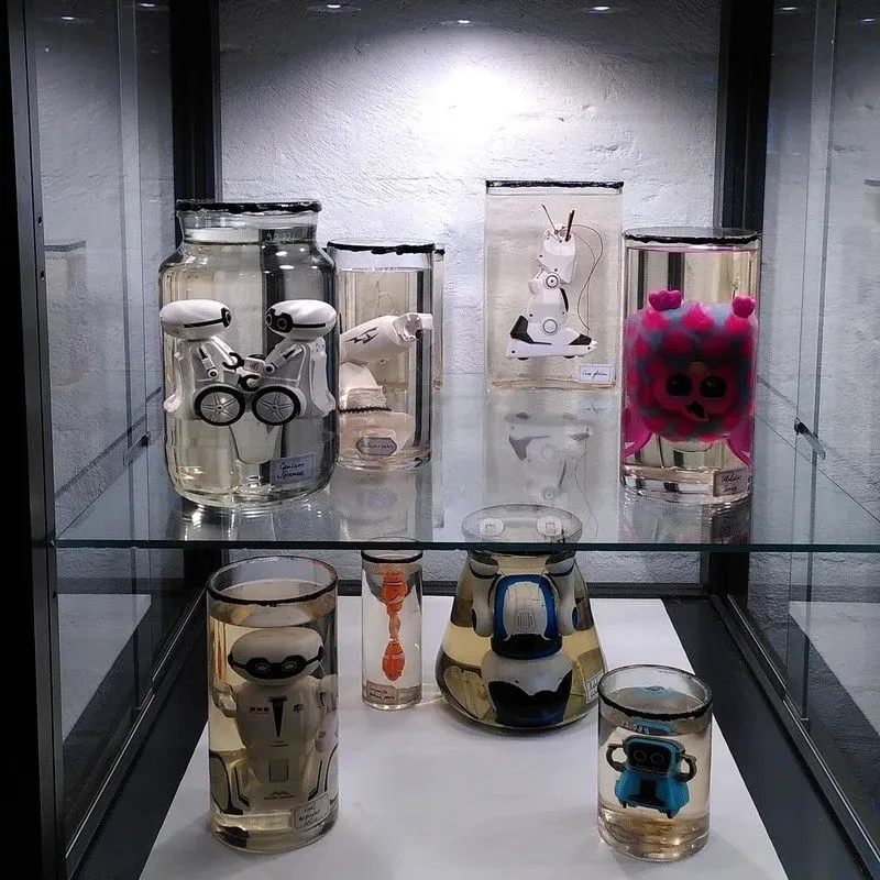 08112024 expo podium robots op sterkwater 1