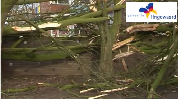 abbb48r8gv81ufvwn7cnzoafx 2014 01 0709 17 24