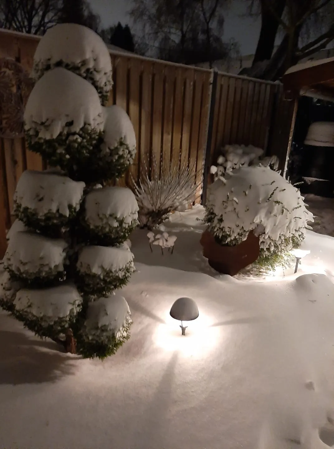 achtertuin van jacqueline lentjes in bemmel o