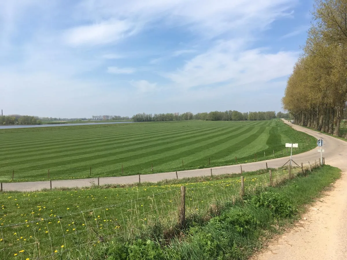 agrarische grond en huidige toegangsweg 1