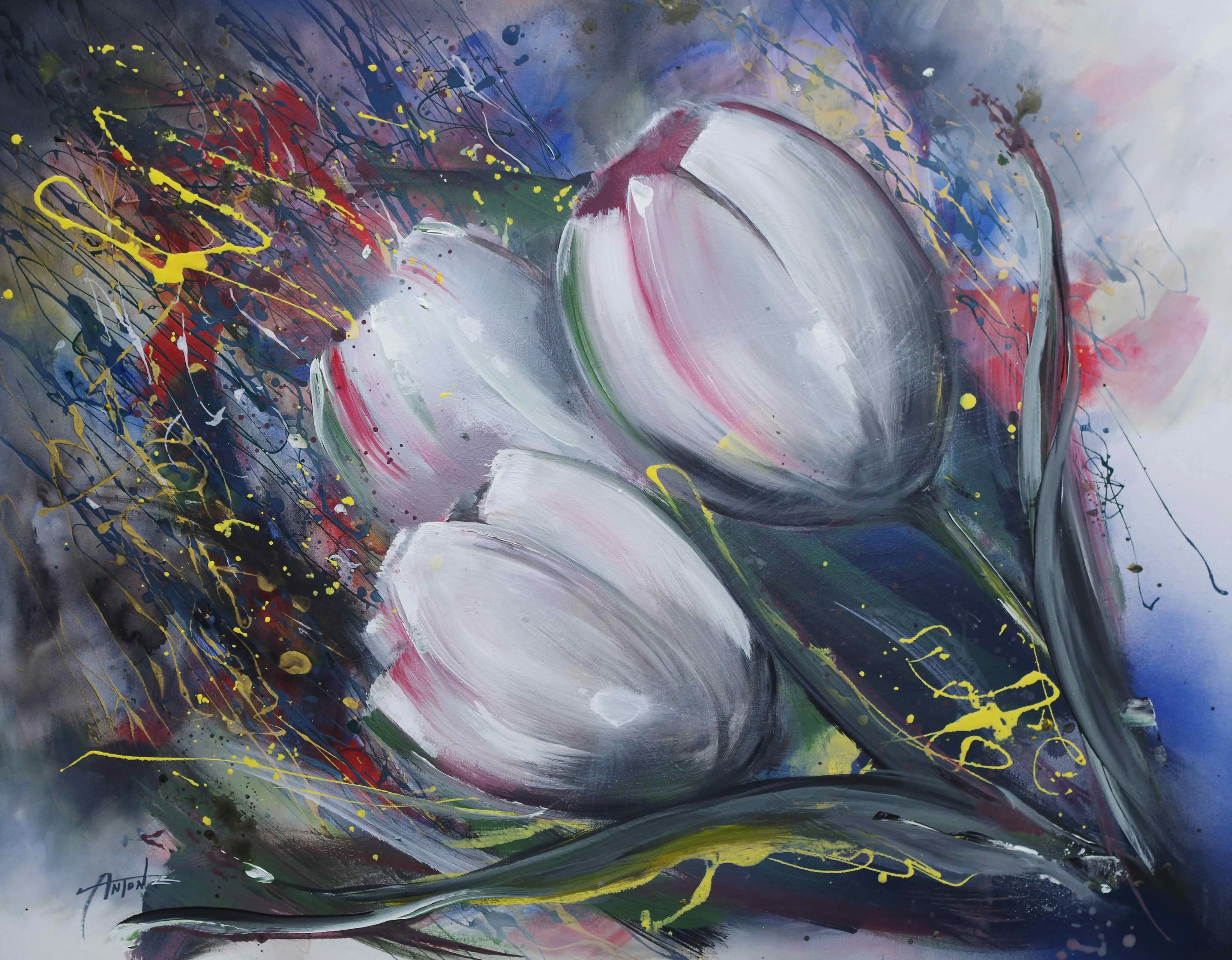 anton selman01dagtulp