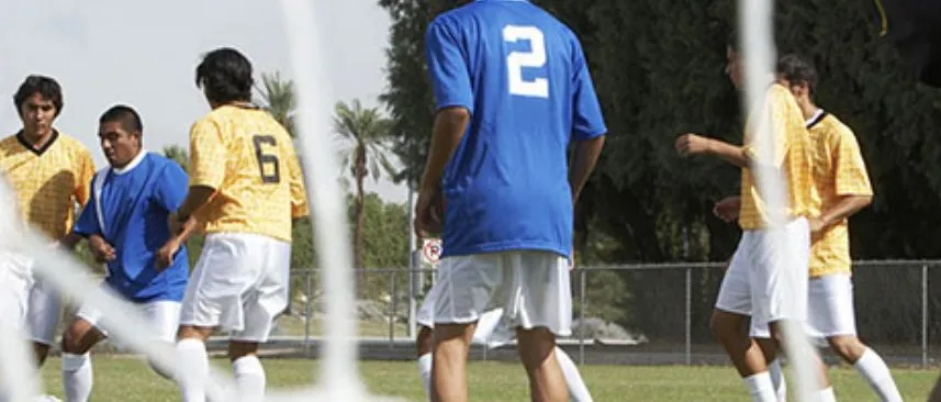 armoedeswl meedoenregeling regelingen meedoen in lingewaard