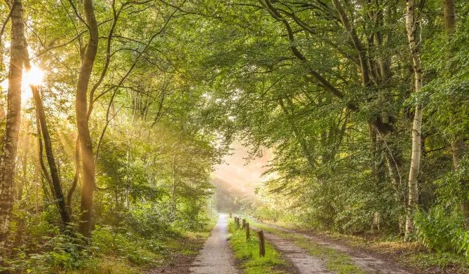astoruitvaartzorgwandelpad met licht