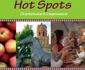 ay6cjm8hu4rgbcrfj1vgbq9s7 228330