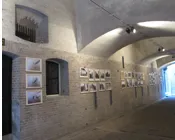 b4423oj008qqnf3yvjosgaduy 229373