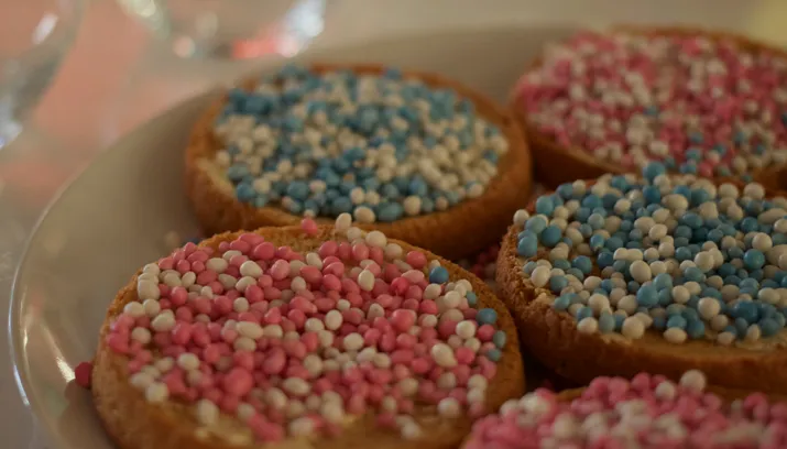 beschuit muisjes