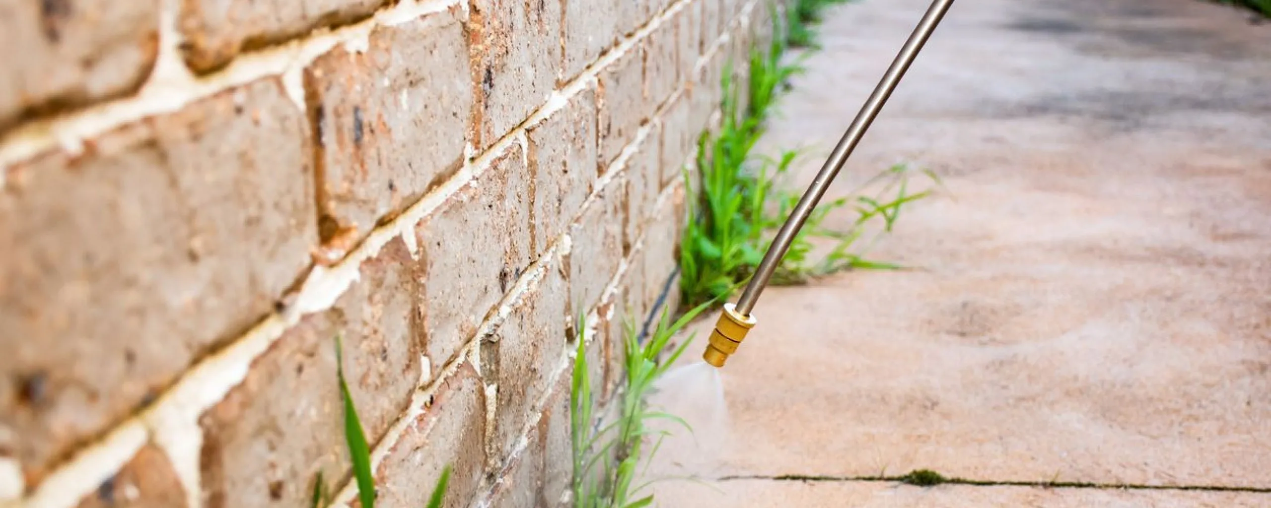 bestrijdingsmiddelgemeentelingewaard