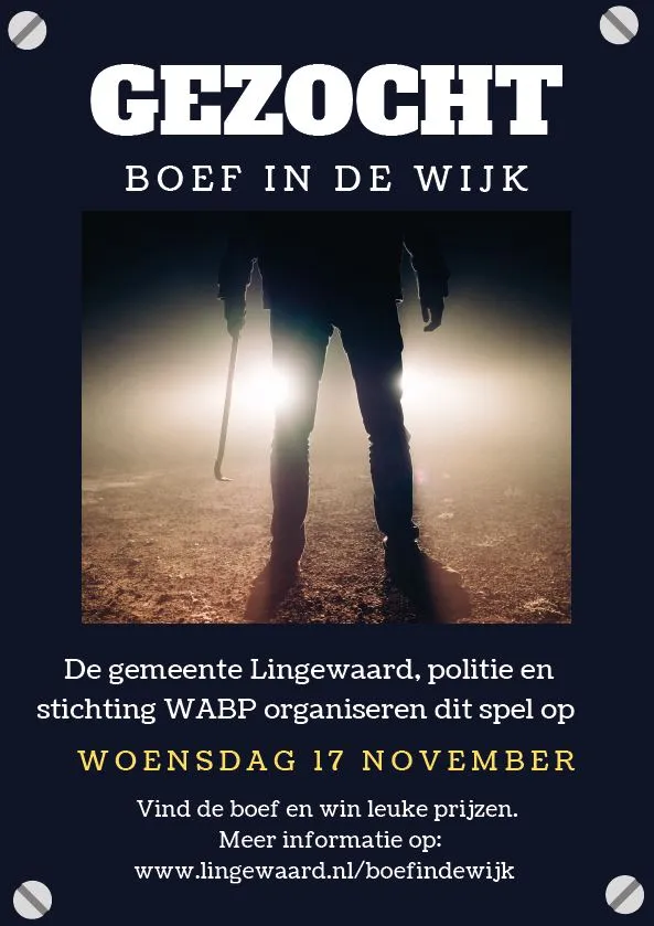 boef in de wijk n 1