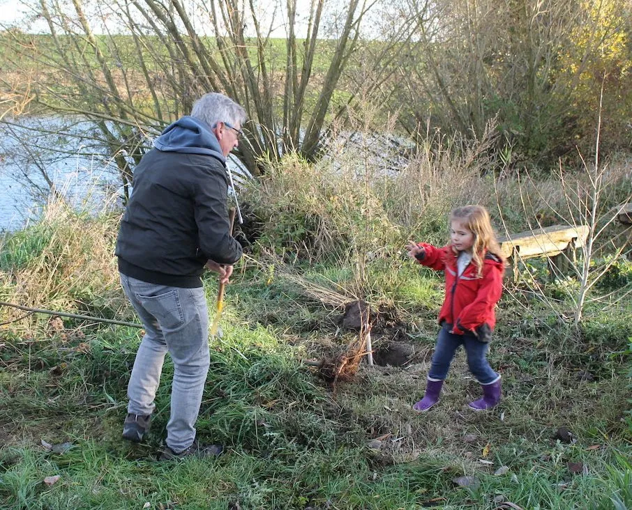 boomplanterssprokkelbos