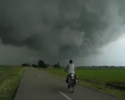 bppii3wnt07g65ttutiol0x8x 231156