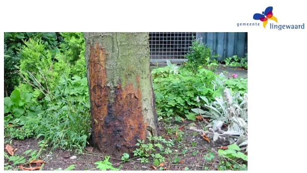 bvmpngrbt4ii1ubnm7prjwcvo 1 1038