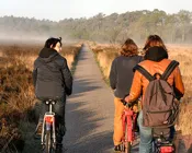 c3n5c24avh3zwfarmdix17rln 231202