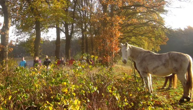 cvhtrqf21e7j97drqtxlw32db 2013 11 2112 22 17