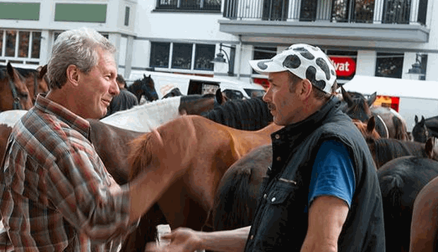 d3cvqqrxr00j7spfh44l8w870 ponymarkt