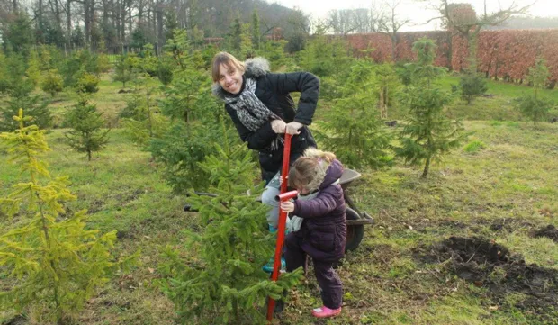 d5tlugk6lkoflgsqlvunhzn0x 2013 12 2412 51 12