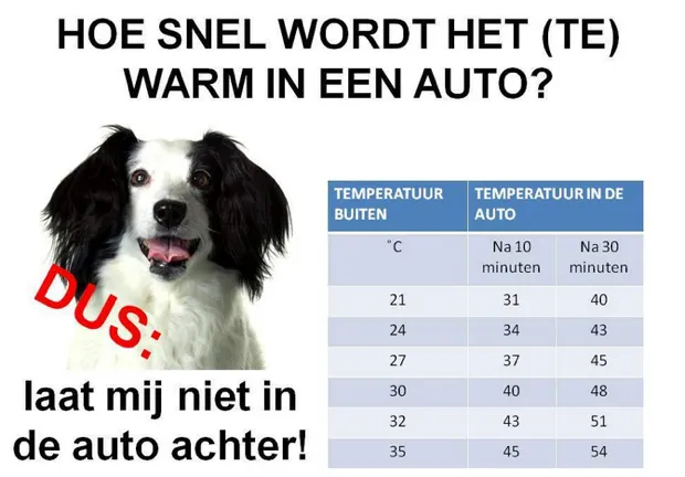 dltehdupyzpca5qgvf94lvtvk 0 2