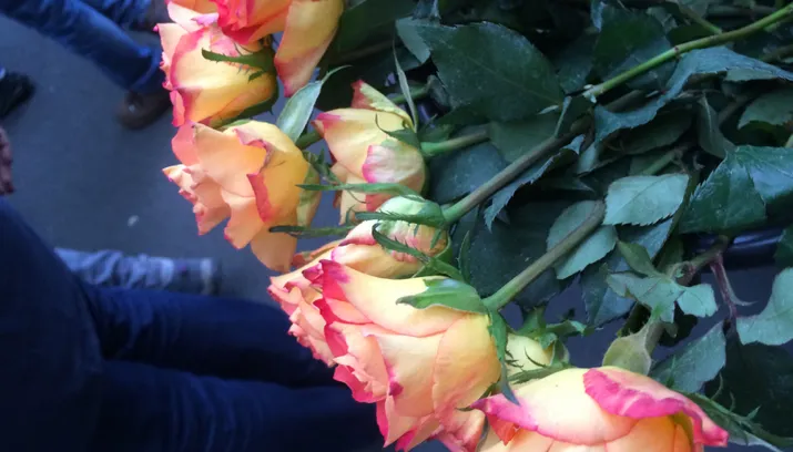 dodenherdenking bemmel 2015