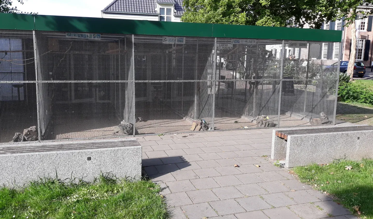 dorpsvolierebemmelgemeentenieuws59e35085 b5fb 4461 ba36 58c543190afa thumb1440