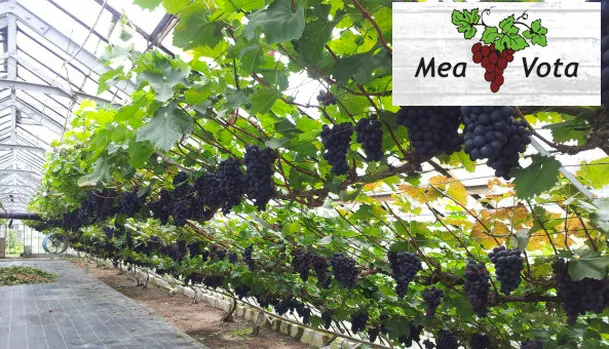 e4phsiseprqoqwm7ooifkigt9 1 177