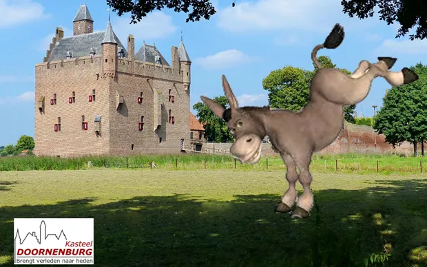 e6o4xd0bb0jk9t2yo9dq25354 1 978