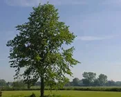 e6qgqp5lck1th4j65ygsfdim2 227284