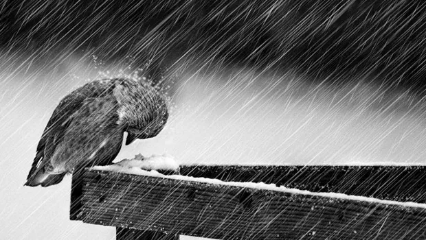 eexriab4h9o43ibtlkq635irv 1 1036