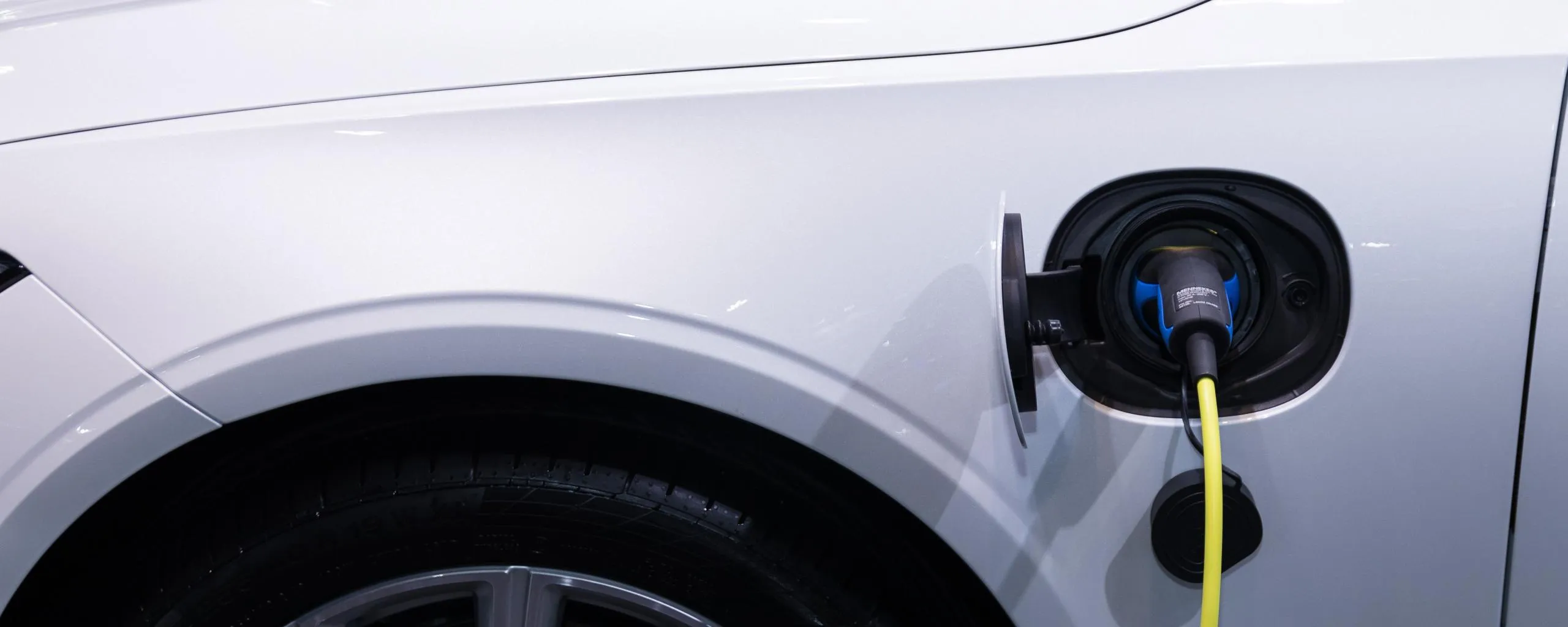 electrische laandpalen foto pexels