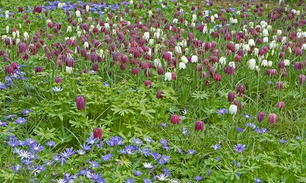 et5jcsh4ejo27ngd2yoy0qw0g 1 448