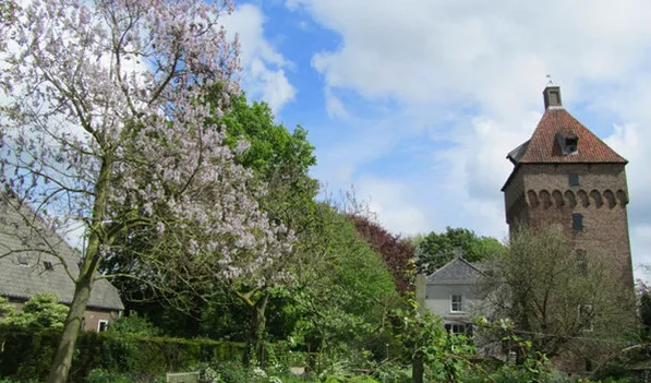 eznngooao4bdh4ochvvprz0a8 1 129