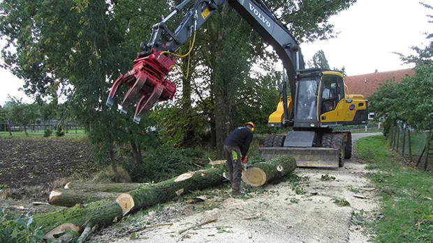 ezyei6mb8ols90sizhlu7c6n9 00 15