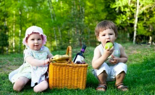 f80hbnry9dls2tmbmc7nsu5ra picknickkindereneten