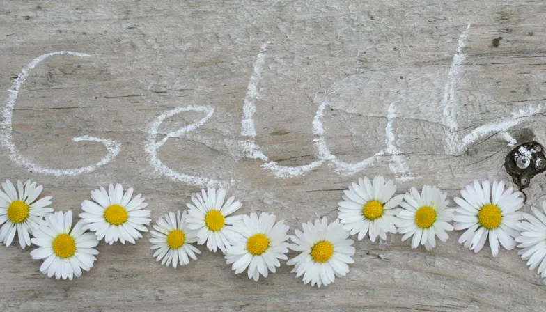 fb3v22uin4hhunnv3aprzusrq 2013 05 2611 48 16