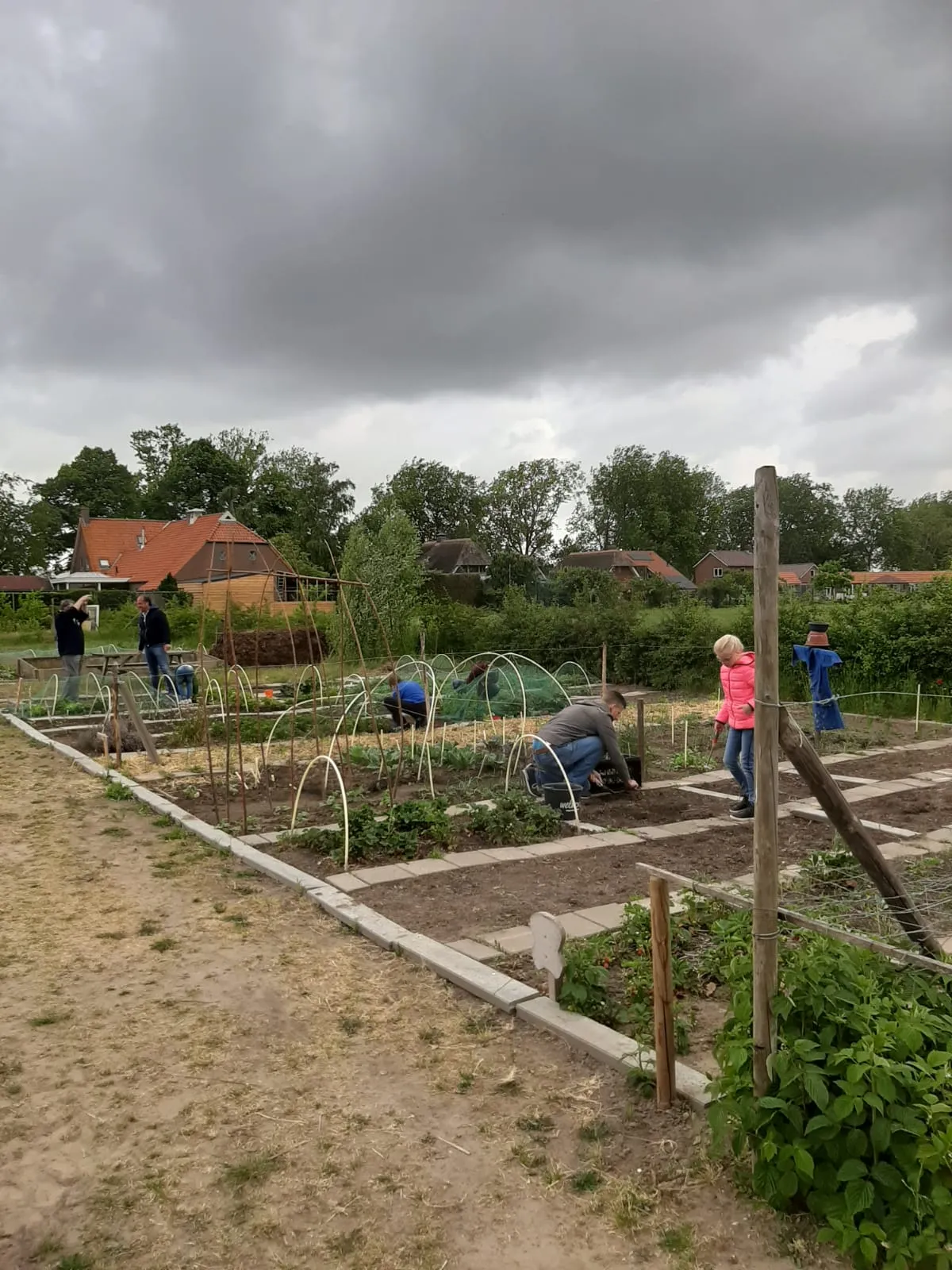 foto moestuin huissen