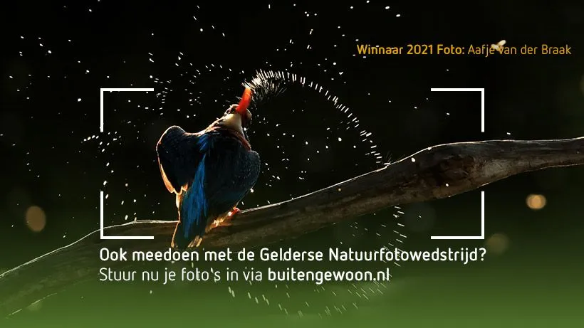 foto winnaar natuurfotowedstrijd 2021 aafje van der braak