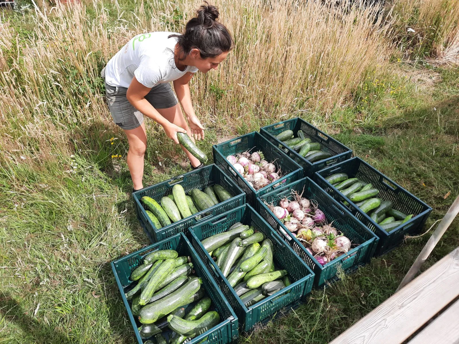 fotogragie1 gelukkigegroentes rechtenvrij jorianxx liselotteraben