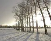 fsg6i55b763prfdrmu6bed7f0 220746