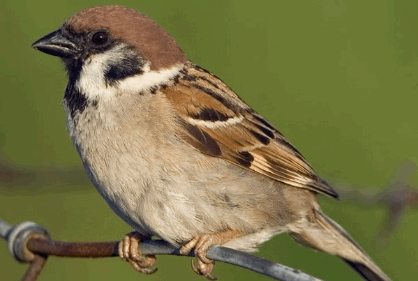 fvmbjcqymktmm9zb8byf1y5ip 2013 12 1911 17 53