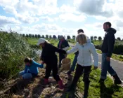 g58pxsgaadouvph0fh81d6zy9 224342