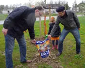 g99r02c9ptftoz1j0ie4vxs72 228701