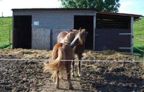 g9iwq1u9yy1r28dxnn35ymhe9 1 350