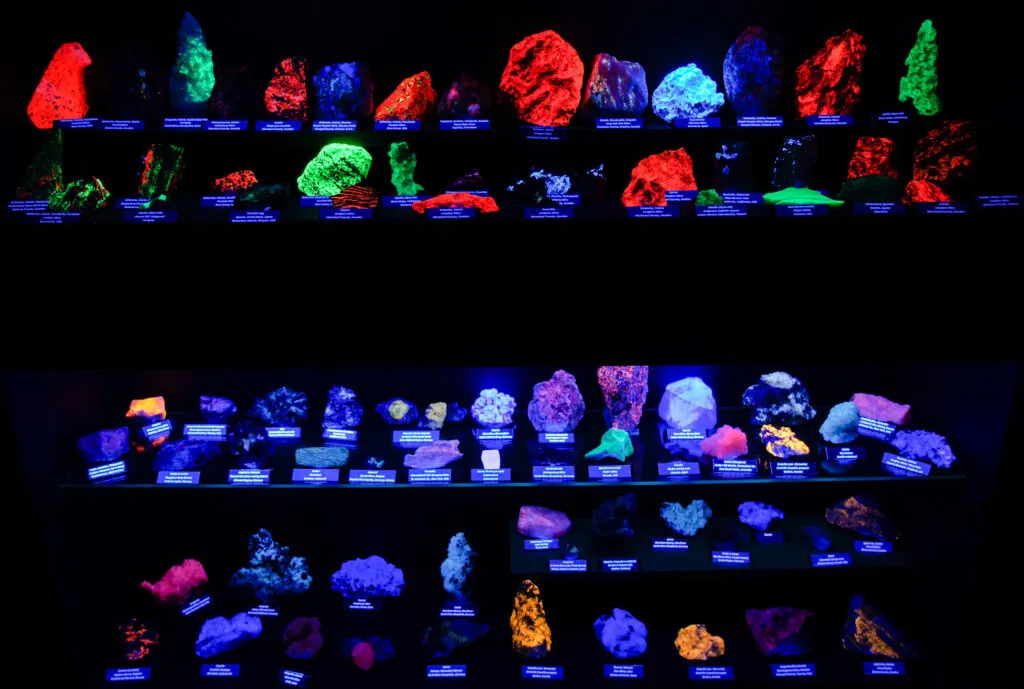 geldersgeologischmuseumggm uva c 1 1024x689 1