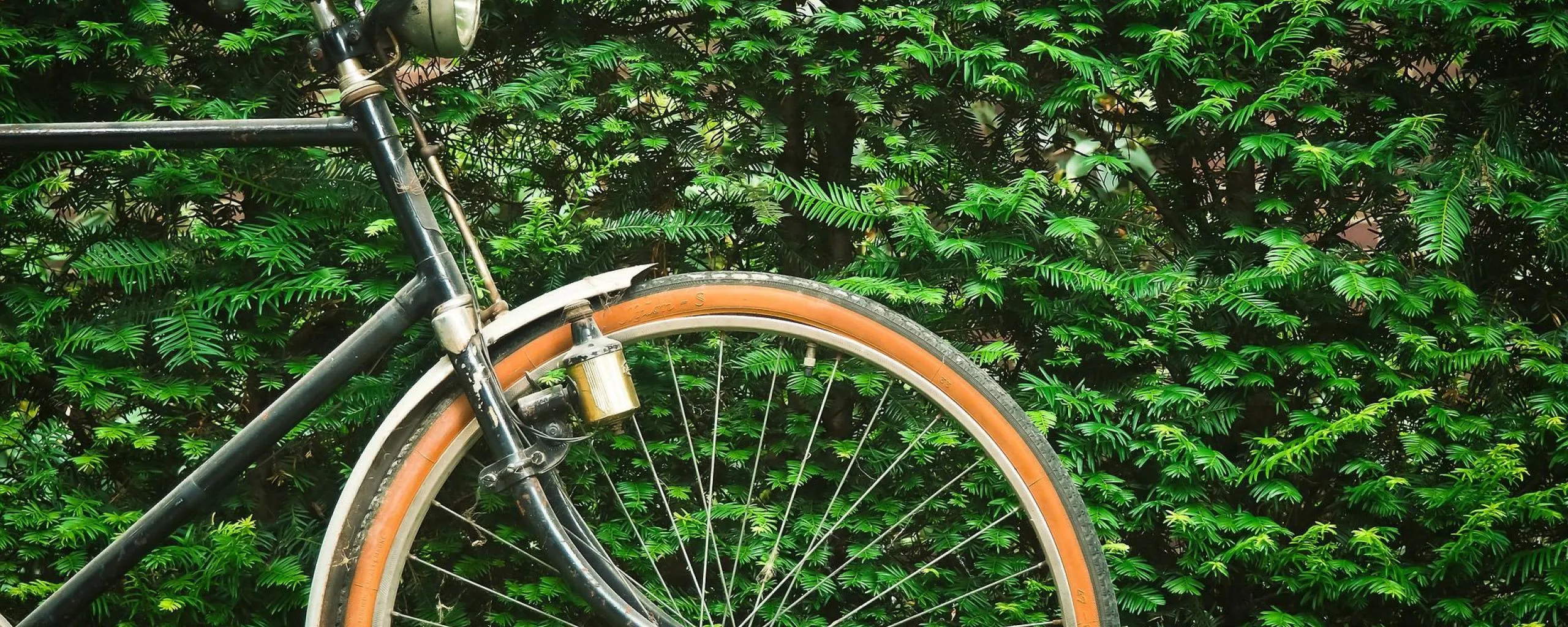 gemeentlingewaardfiets01 0
