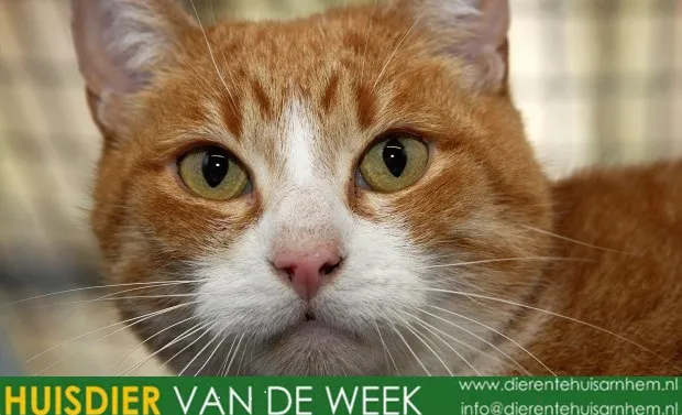 gkws3lfeqz6zm2mw2gjcvvwf3 1 803