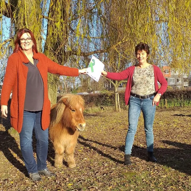 groenlinksfractievoorzitterlintje