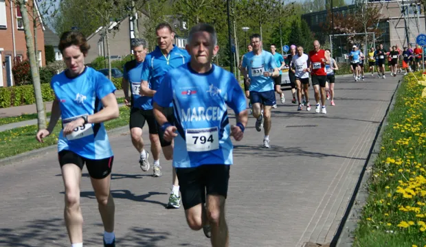 gvm81tbyzqoj318l0brh5ccuo 11 54