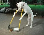 gx9k12kfym2p5pnja1e5z32au 221015