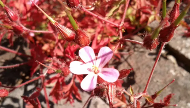 hgxqi3vekzz7v3kuyhwrdku0f 1 648