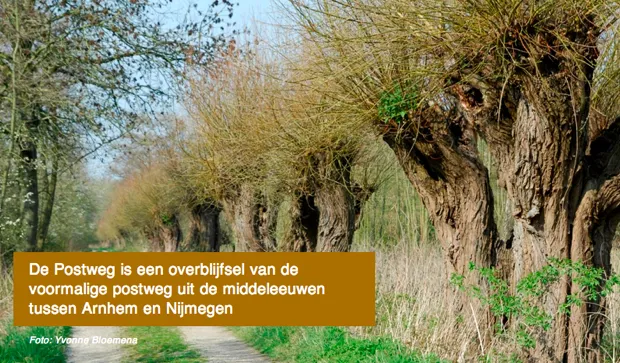 hqribf9lqod7rsw5pcwacgnvx 1 245