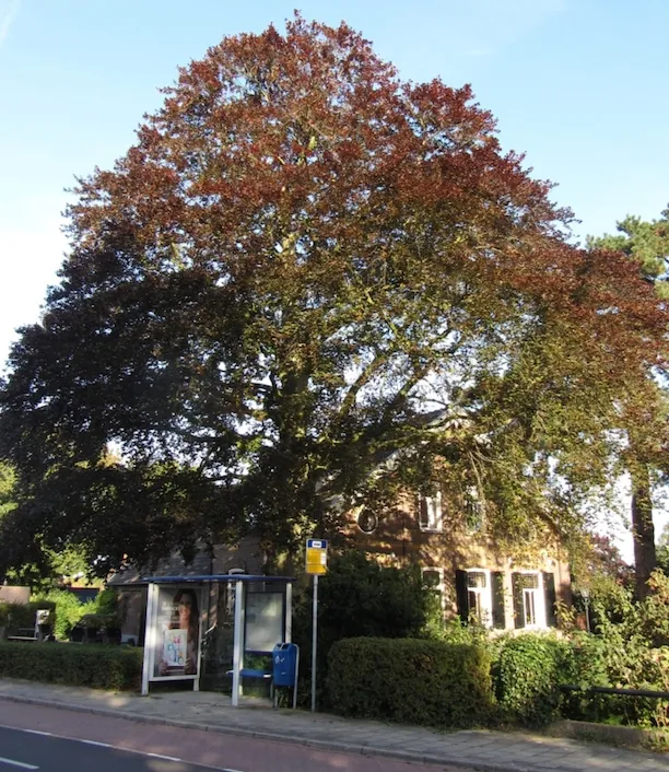 iax0bmzbsf6e1b2xsqc2kmun3 1 459