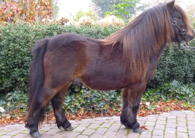 iwalnaws2zgjcfong1qaxamdq 1 143